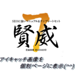 【権威７カスタマイズ】アイキャッチ画像を個別ページの上部に自動表示